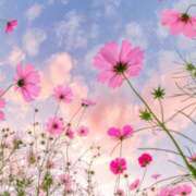 ヒメ日記 2025/04/04 09:25 投稿 春奈-はるな 熟女10000円デリヘル横浜