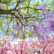 ヒメ日記 2025/05/04 07:29 投稿 春奈-はるな 熟女10000円デリヘル横浜