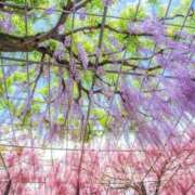 ヒメ日記 2025/07/31 06:00 投稿 春奈-はるな 熟女10000円デリヘル横浜