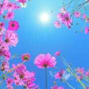 ヒメ日記 2025/08/03 06:00 投稿 春奈-はるな 熟女10000円デリヘル横浜