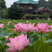 ヒメ日記 2025/12/12 06:30 投稿 春奈-はるな 熟女10000円デリヘル横浜