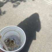 ヒメ日記 2025/04/21 06:24 投稿 いちか 桃李（とうり）