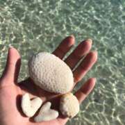 ヒメ日記 2025/07/14 07:34 投稿 いちか 桃李（とうり）