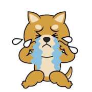 ヒメ日記 2025/10/06 15:54 投稿 いちか 桃李（とうり）