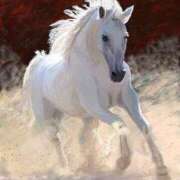 ヒメ日記 2025/05/21 14:52 投稿 綱吉 熟女の風俗最終章 新横浜店