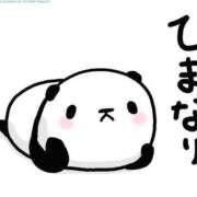 ヒメ日記 2025/08/14 13:36 投稿 綱吉 熟女の風俗最終章 新横浜店