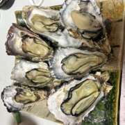 ヒメ日記 2024/12/22 00:32 投稿 白砂 名古屋デッドボール