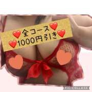 ヒメ日記 2025/02/21 09:16 投稿 白砂 名古屋デッドボール