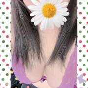 ヒメ日記 2025/02/23 11:07 投稿 白砂 名古屋デッドボール