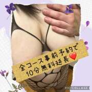 ヒメ日記 2025/03/31 08:39 投稿 白砂 名古屋デッドボール