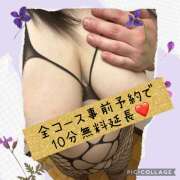 ヒメ日記 2025/04/04 08:00 投稿 白砂 名古屋デッドボール