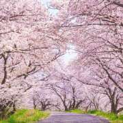 ヒメ日記 2025/04/05 16:24 投稿 白砂 名古屋デッドボール