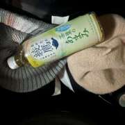 ヒメ日記 2025/04/24 11:27 投稿 白砂 名古屋デッドボール