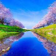 ヒメ日記 2025/04/25 02:24 投稿 白砂 名古屋デッドボール