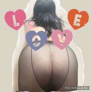 ヒメ日記 2025/04/28 09:40 投稿 白砂 名古屋デッドボール