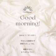 ヒメ日記 2025/05/07 07:37 投稿 白砂 名古屋デッドボール