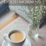 ヒメ日記 2025/05/12 07:59 投稿 白砂 名古屋デッドボール