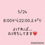 ヒメ日記 2025/05/21 06:35 投稿 白砂 名古屋デッドボール