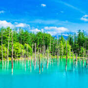 ヒメ日記 2025/06/01 15:14 投稿 白砂 名古屋デッドボール