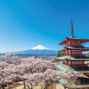 ヒメ日記 2025/06/07 18:21 投稿 白砂 名古屋デッドボール
