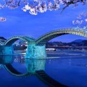 ヒメ日記 2025/06/08 00:32 投稿 白砂 名古屋デッドボール