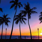 ヒメ日記 2025/06/08 15:18 投稿 白砂 名古屋デッドボール