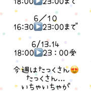 ヒメ日記 2025/06/11 05:10 投稿 白砂 名古屋デッドボール
