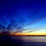 ヒメ日記 2025/06/11 10:30 投稿 白砂 名古屋デッドボール