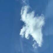 ヒメ日記 2025/07/26 14:32 投稿 白砂 名古屋デッドボール