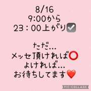 ヒメ日記 2025/07/29 02:55 投稿 白砂 名古屋デッドボール