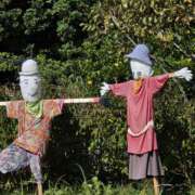 ヒメ日記 2025/11/05 16:37 投稿 矢吹 おふくろ