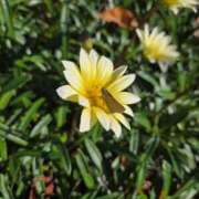 ヒメ日記 2025/11/08 09:51 投稿 矢吹 おふくろ