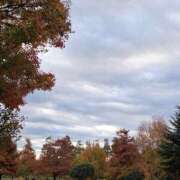 ヒメ日記 2025/11/18 11:22 投稿 矢吹 おふくろ