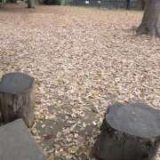 ヒメ日記 2025/11/25 09:43 投稿 矢吹 おふくろ