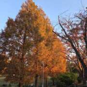 ヒメ日記 2025/11/26 09:43 投稿 矢吹 おふくろ