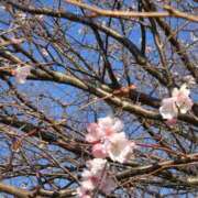 矢吹 おはようございます おふくろ