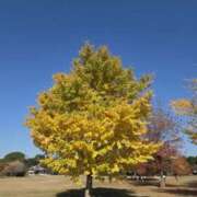 ヒメ日記 2025/12/07 09:47 投稿 矢吹 おふくろ