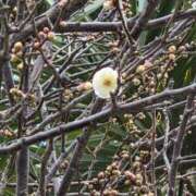 ヒメ日記 2025/12/27 10:26 投稿 矢吹 おふくろ