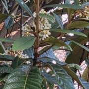 ヒメ日記 2025/12/28 08:48 投稿 矢吹 おふくろ