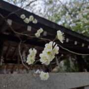 ヒメ日記 2026/02/17 09:56 投稿 矢吹 おふくろ