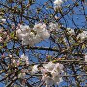 矢吹 おはようございます おふくろ