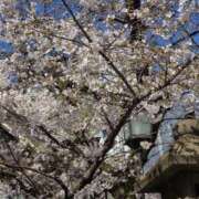 矢吹 おはようございます おふくろ