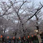 矢吹 おはようございます おふくろ