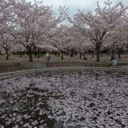 ヒメ日記 2026/04/08 09:53 投稿 矢吹 おふくろ