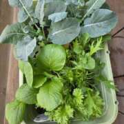 矢吹 こんにちは👋😃 おふくろ