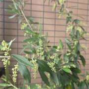 ヒメ日記 2026/05/05 12:34 投稿 矢吹 おふくろ