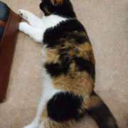 ヒメ日記 2025/10/22 14:56 投稿 水嶋 ミセスの手ほどき