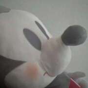 ヒメ日記 2025/02/21 15:49 投稿 さくや 素敵な女の子は好きですか？