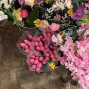 ヒメ日記 2025/03/25 13:13 投稿 さくや 素敵な女の子は好きですか？