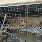 ヒメ日記 2025/03/28 04:03 投稿 さくや 素敵な女の子は好きですか？